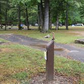 Review photo of Devil's Den State Park Campground by Dexter I., October 7, 2019