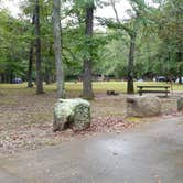 Review photo of Devil's Den State Park Campground by Dexter I., October 7, 2019