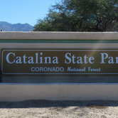 Review photo of Catalina State Park Campground by J K., October 7, 2019