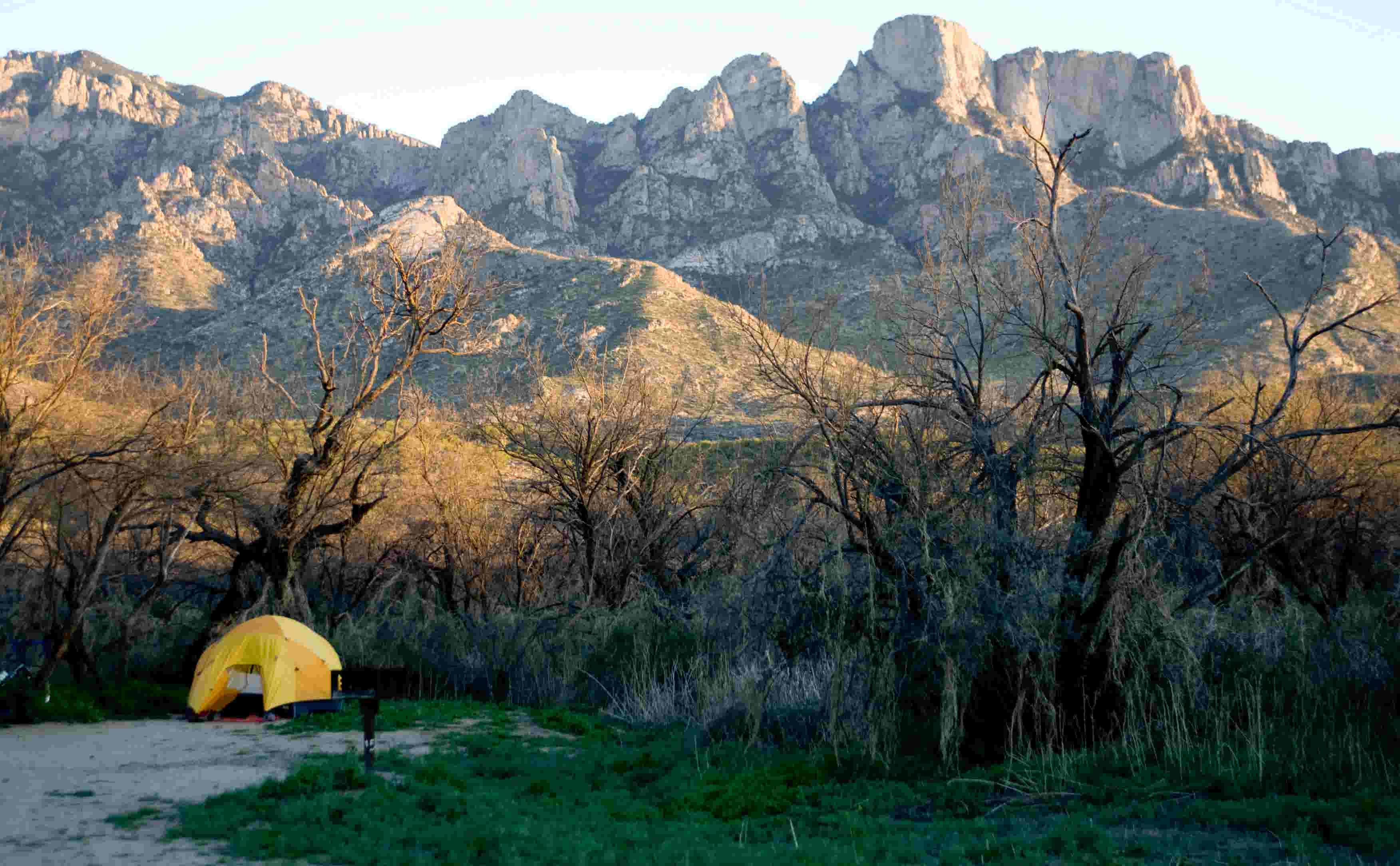 J K.'s photo at Catalina State Park Campground near Oro Valley, AZ