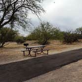 Review photo of Catalina State Park Campground by J K., October 7, 2019