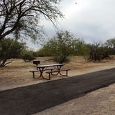 Review photo of Catalina State Park Campground by J K., October 7, 2019