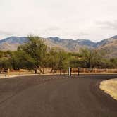 Review photo of Catalina State Park Campground by J K., October 7, 2019