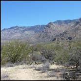 Review photo of Catalina State Park Campground by J K., October 7, 2019