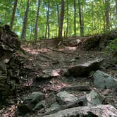 Review photo of Mccormick's Creek State Park Campground by Liz D., October 7, 2019