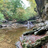 Review photo of Mccormick's Creek State Park Campground by Liz D., October 7, 2019