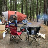 Review photo of Blackwoods Campground — Acadia National Park by Molly G., October 7, 2019