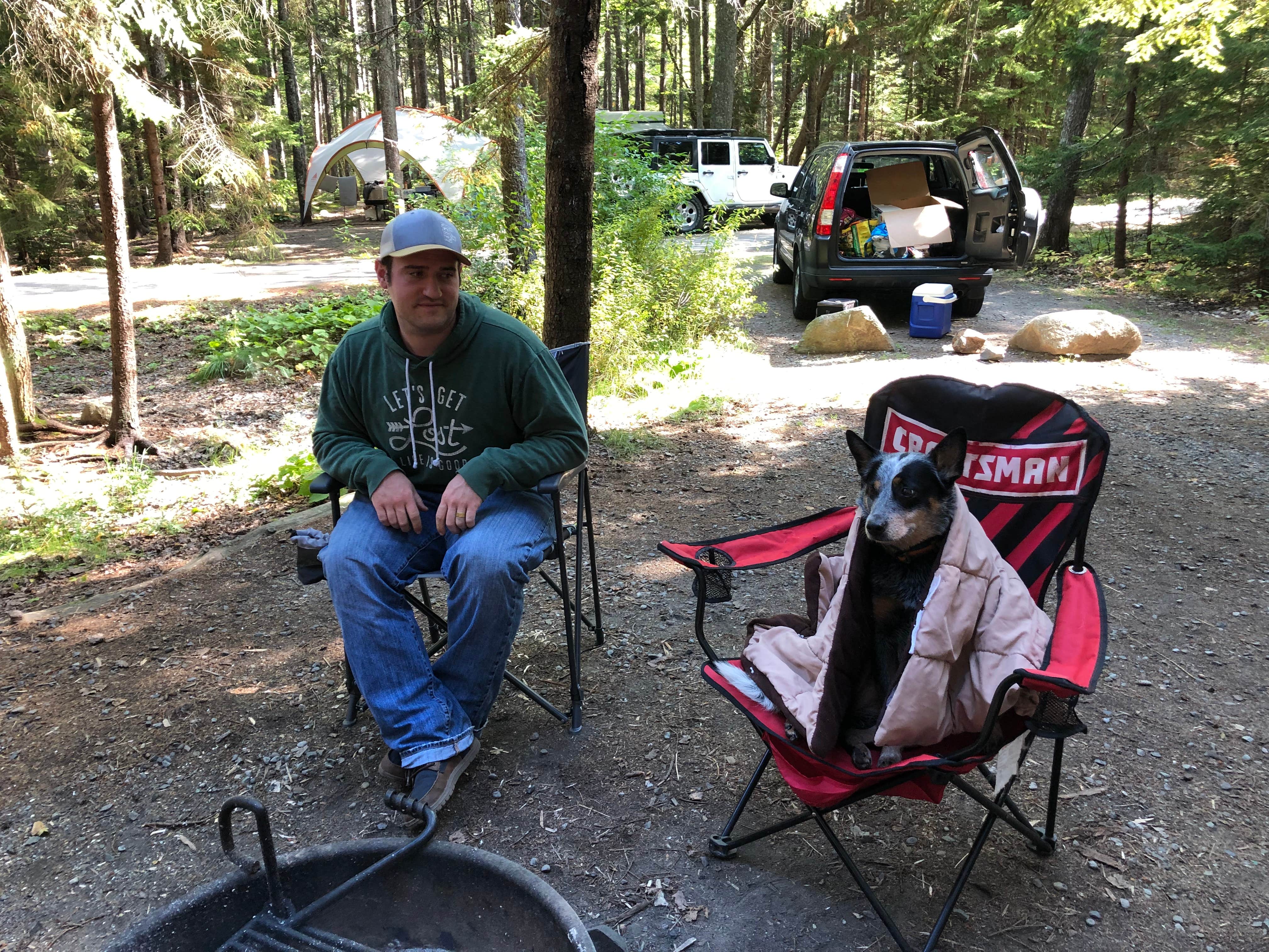 Molly G.'s photo of camping with pets at Blackwoods Campground — Acadia National Park near Stonington, ME