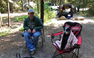 Molly G.'s photo of camping with pets at Blackwoods Campground — Acadia National Park near Sorrento, ME