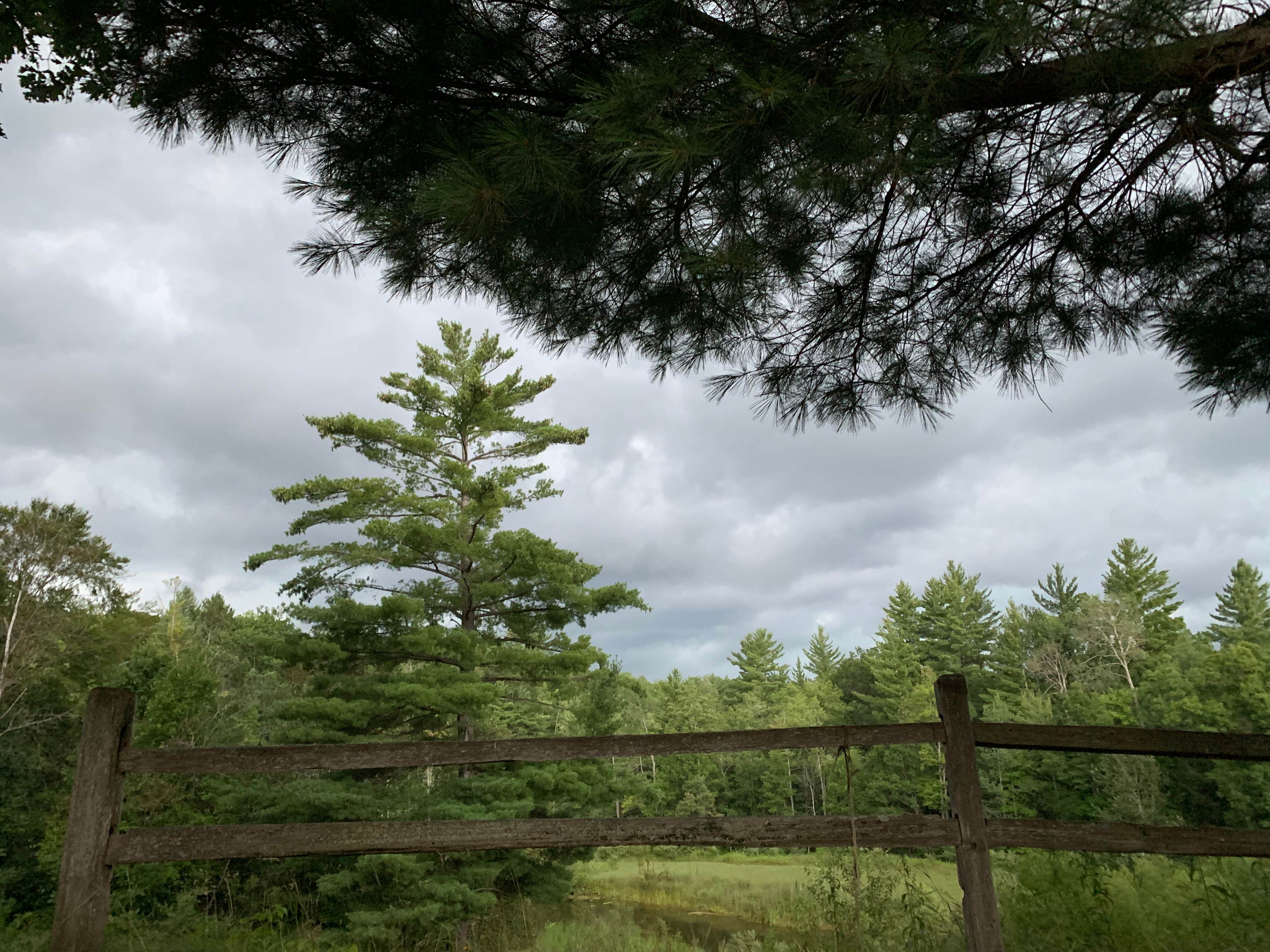 Camper-submitted photo at Coolwater on the Pine River Campground near Mesick, MI