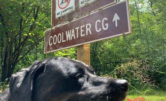 Liz D.'s photo of camping with pets at Coolwater on the Pine River Campground near Brethren, MI