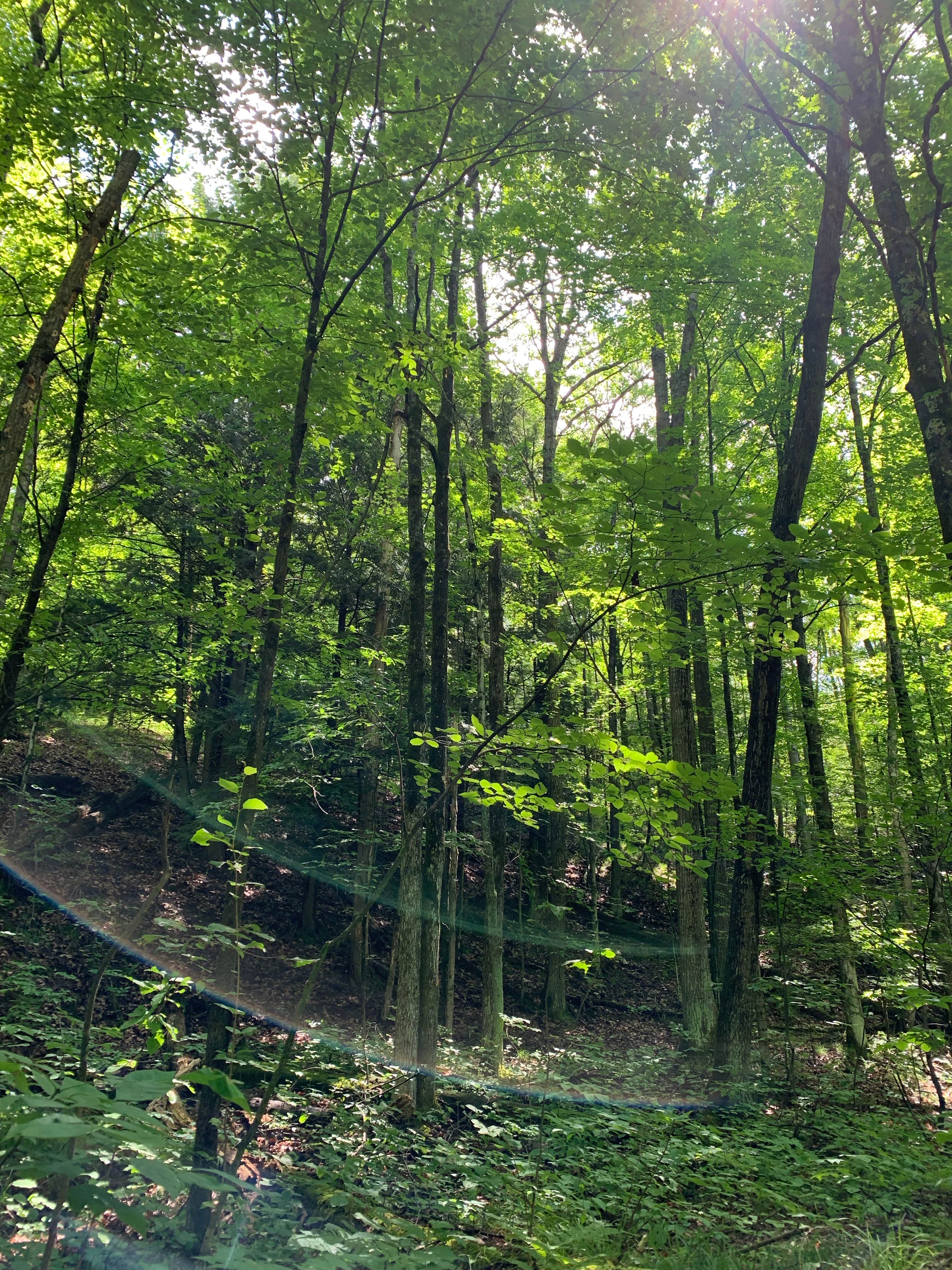 Camper-submitted photo at Coolwater on the Pine River Campground near Mesick, MI