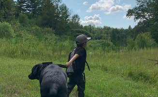 Liz D.'s photo of camping with pets at Coolwater on the Pine River Campground near Huron-Manistee National Forests