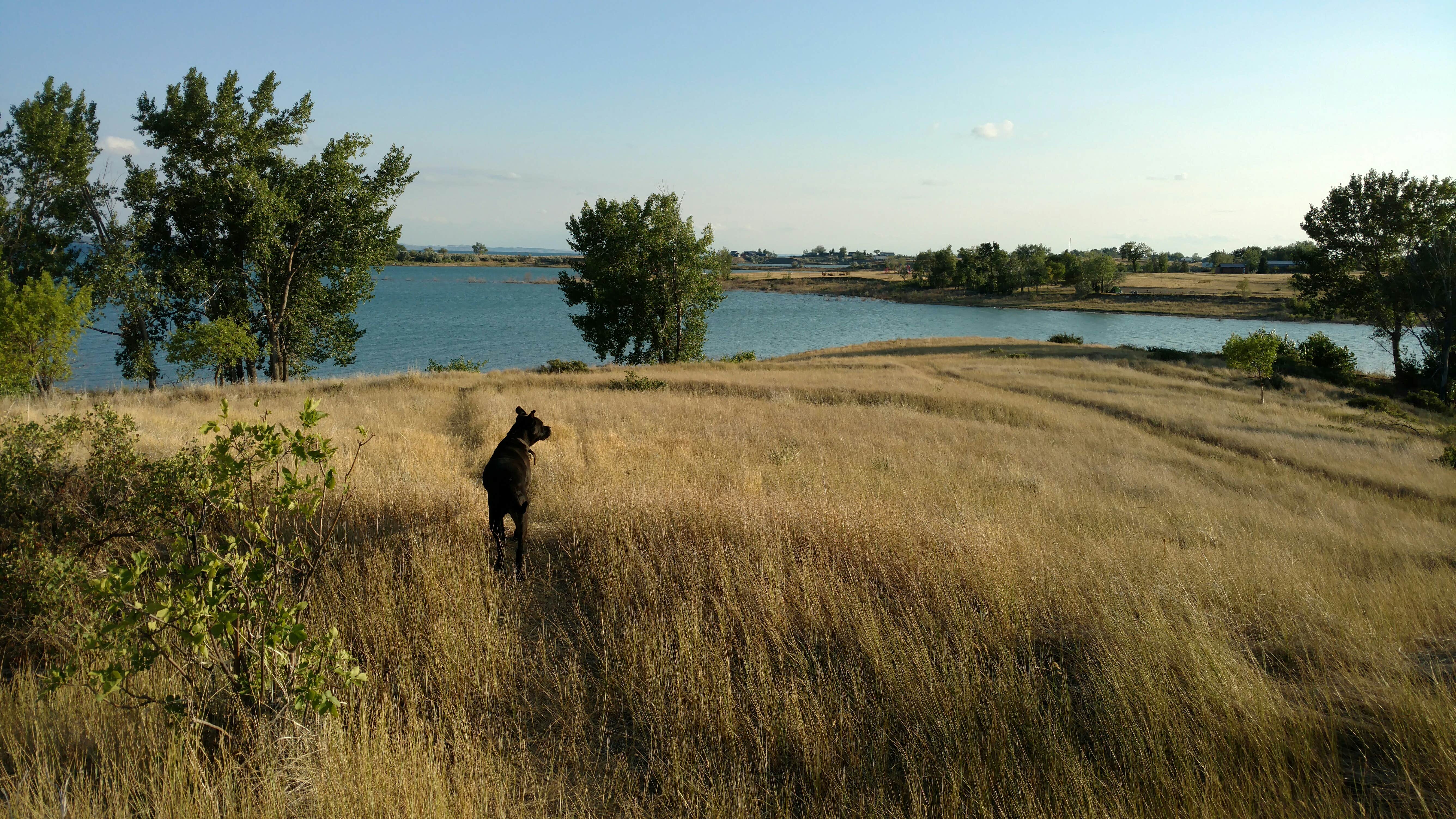Camper submitted image from West End Campground — Fort Peck Project - 5