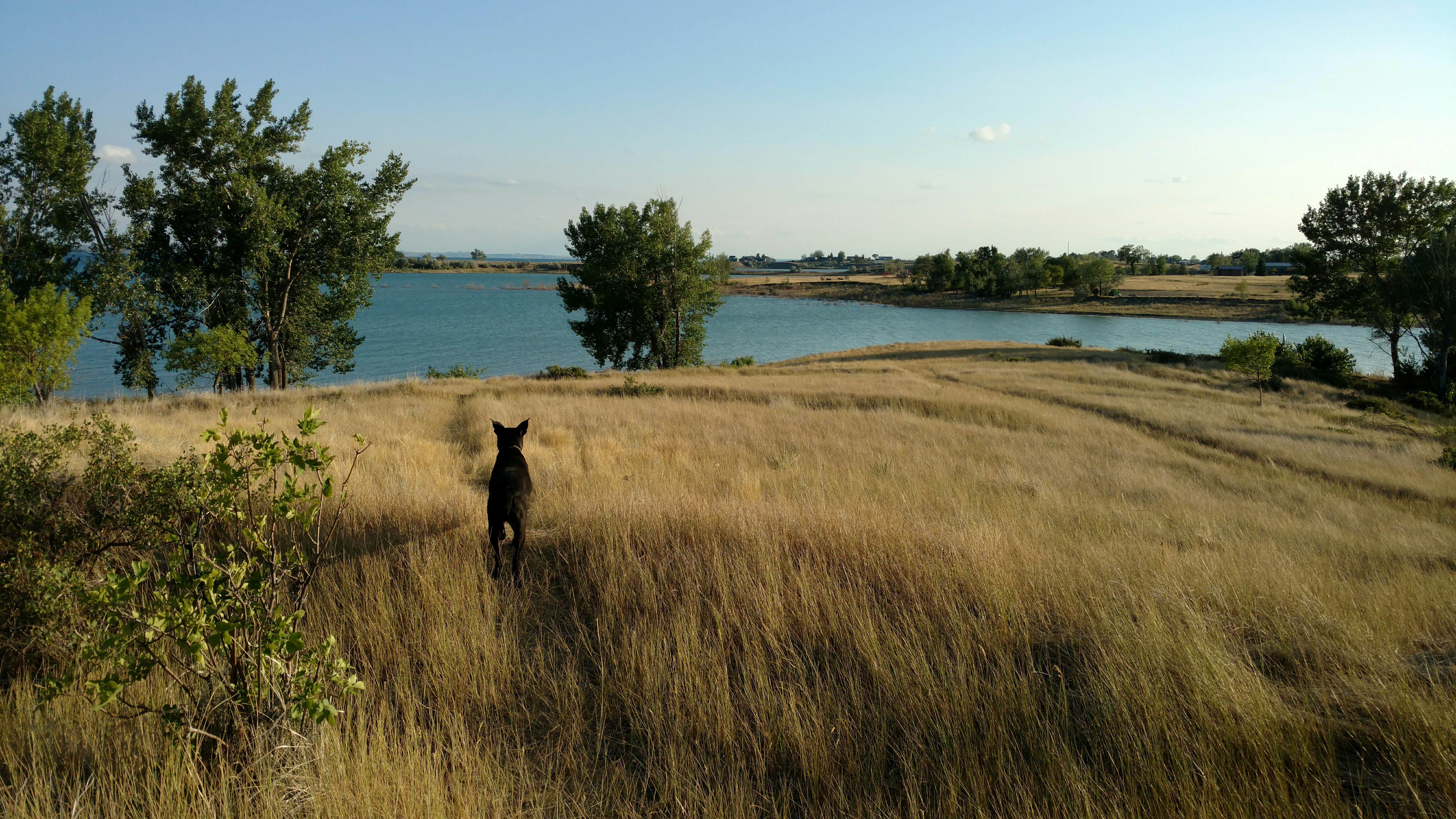 Camper-submitted photo at West End Tent And Trailer Campground — Fort Peck Project near Fort Peck Project