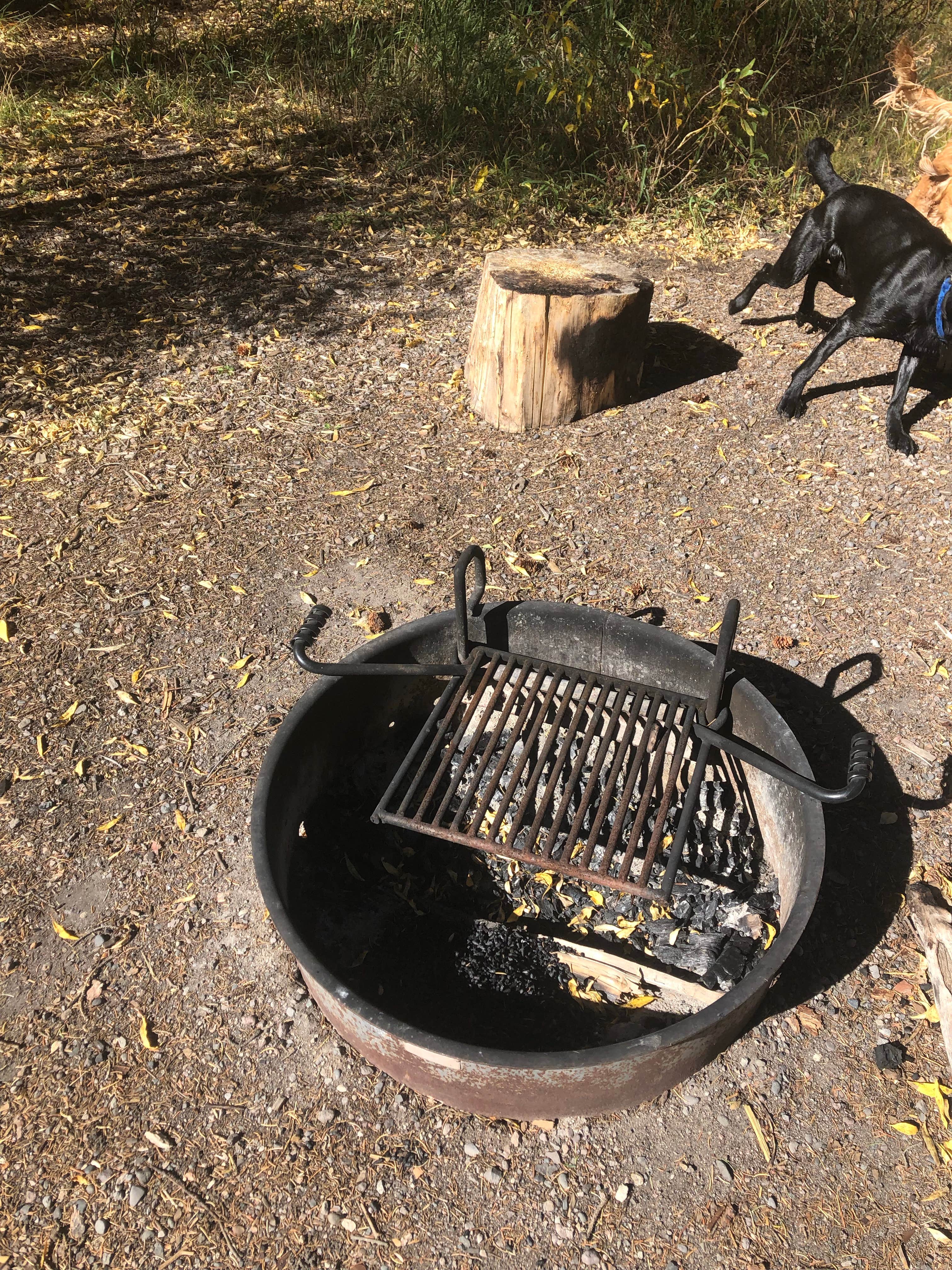 Camper-submitted photo at Park Creek Campground near Rio Grande National Forest
