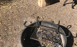 Courtney L.'s photo of camping with pets at Park Creek Campground near South Fork, CO