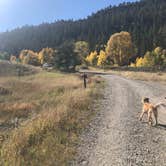 Review photo of Park Creek Campground by Courtney L., October 7, 2019