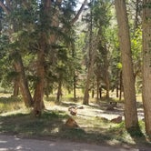 Review photo of Carmel Campground - Ashley National Forest by Glen B., October 7, 2019