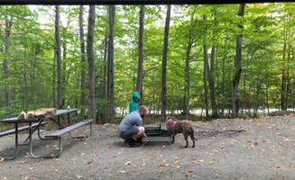 Fransheska A.'s photo of camping with pets at Smugglers Notch State Park Campground near Jericho, VT
