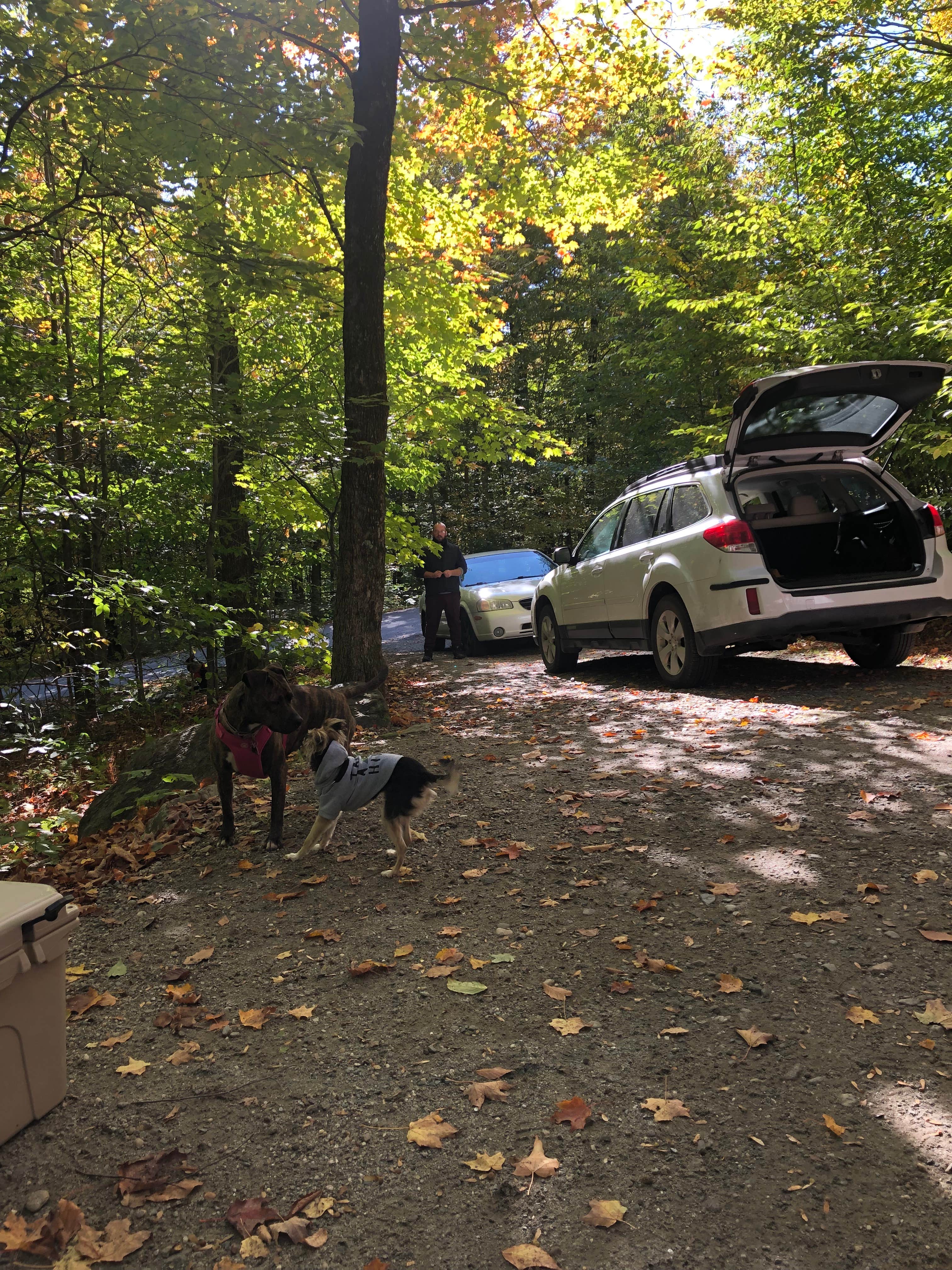 Fransheska A.'s photo of camping with pets at Smugglers Notch State Park Campground near Graniteville, VT