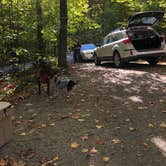 Review photo of Smugglers Notch State Park Campground by Fransheska A., October 7, 2019