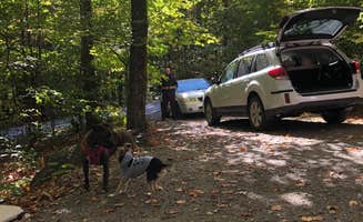 Fransheska A.'s photo of camping with pets at Smugglers Notch State Park Campground near Burlington, VT
