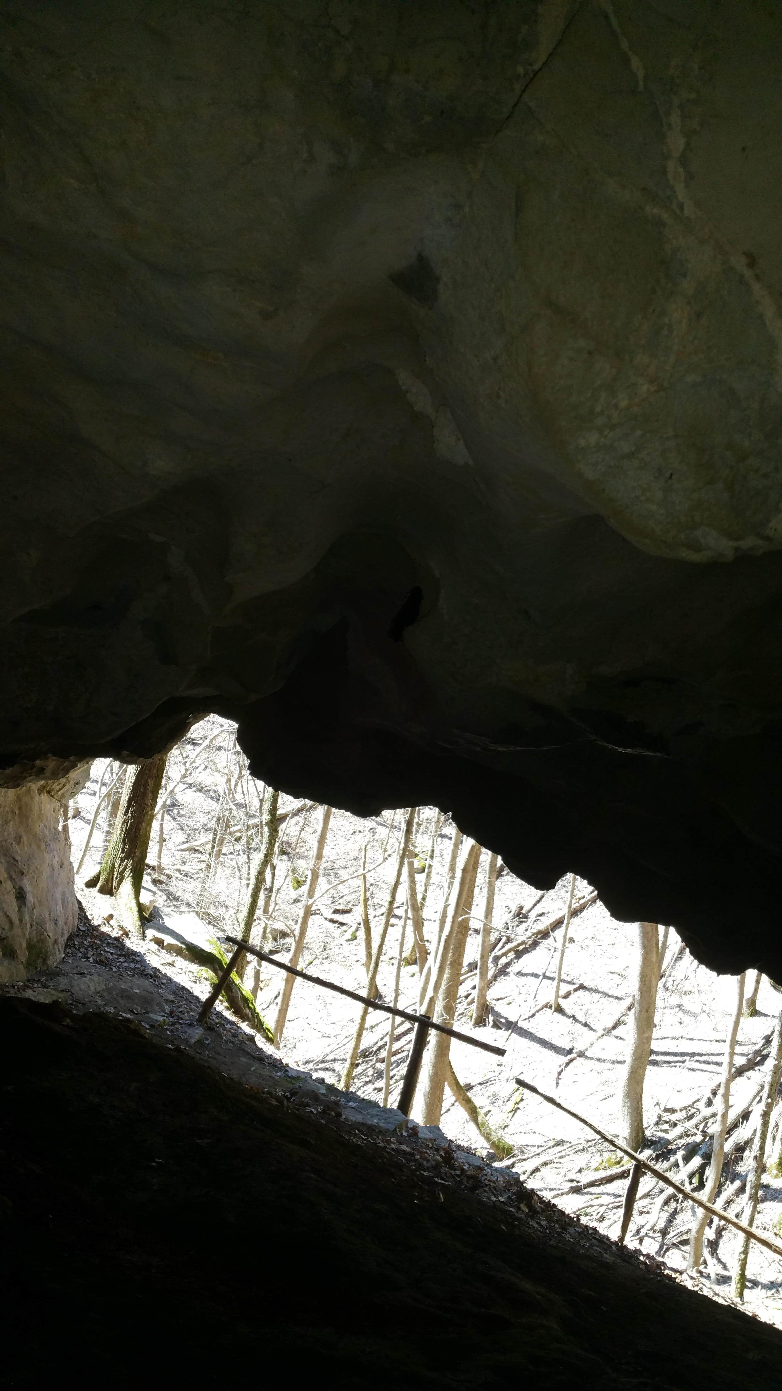 Camping near Camp Riverslanding: Pinnacle View, Pigeon Forge, Tennessee