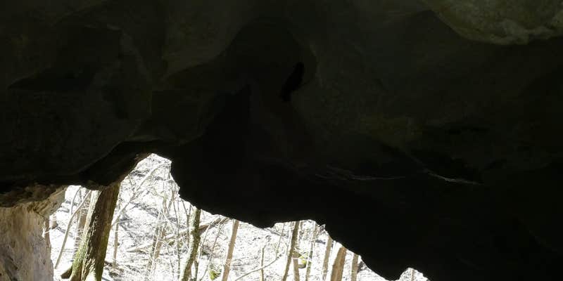 Camper submitted image from Pinnacle View