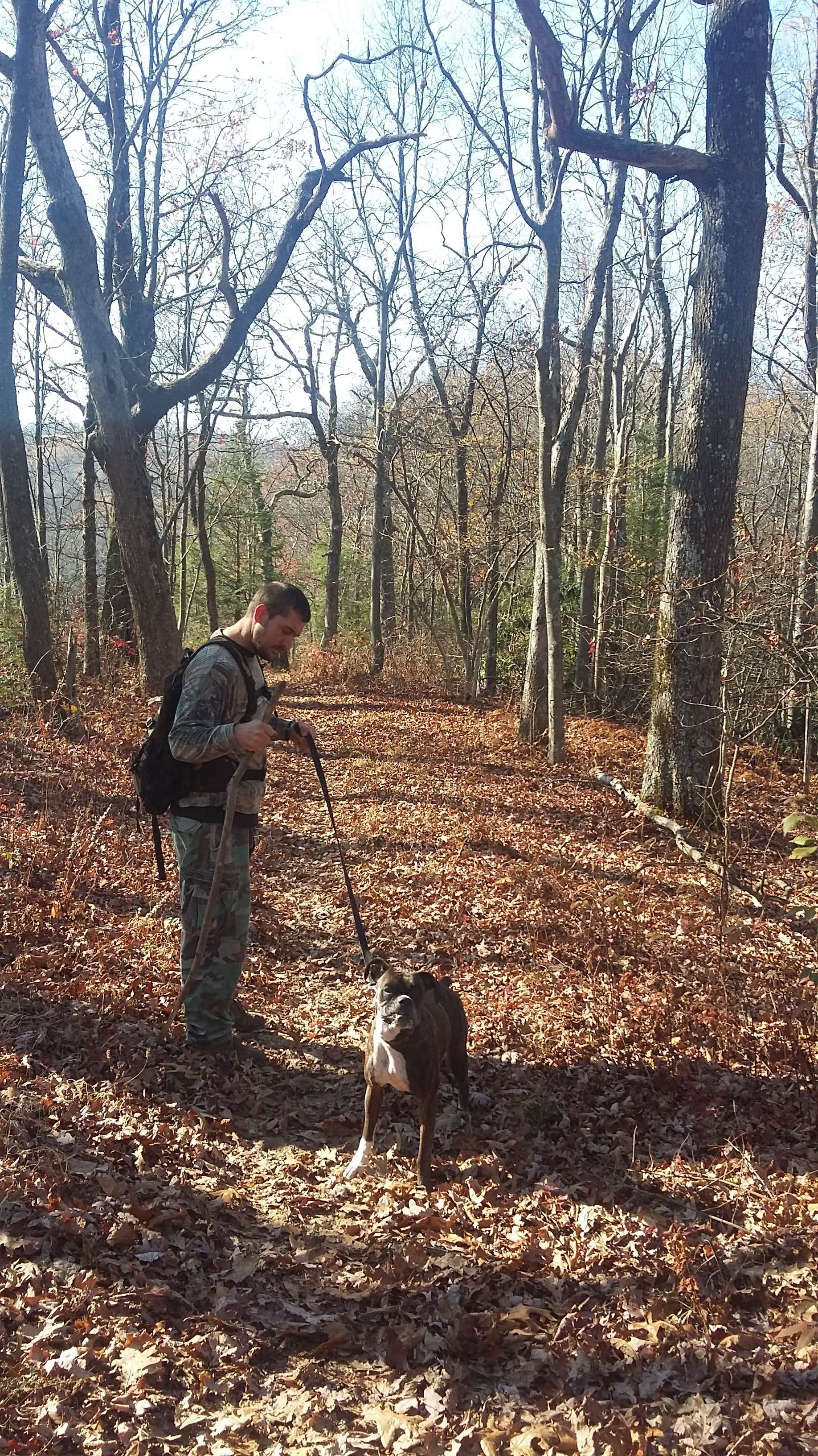 Marsha K.'s photo of camping with pets at Cumberland Camp Ground near Monterey, TN