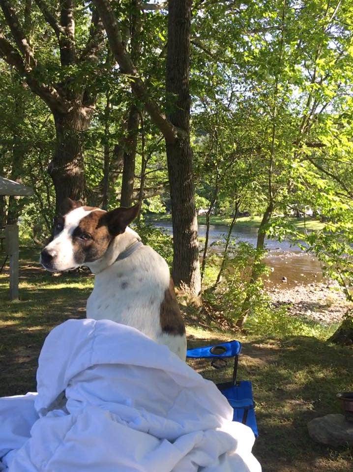 Bald Mountain Campground Townshend, VT
