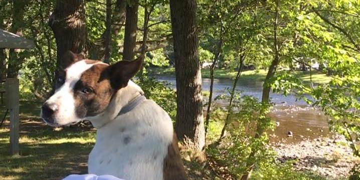 Camper submitted image from Bald Mountain Campground