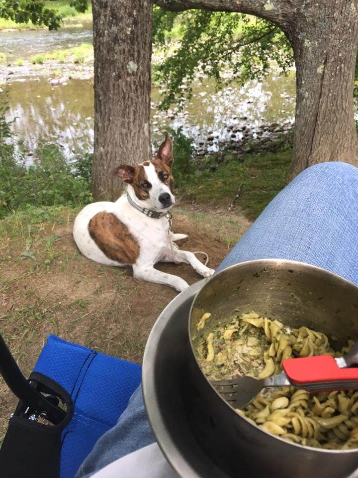 Camper-submitted photo at Bald Mountain Campground near Townshend, VT