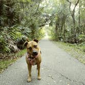 Review photo of Blue Spring State Park Campground by S S., October 7, 2019