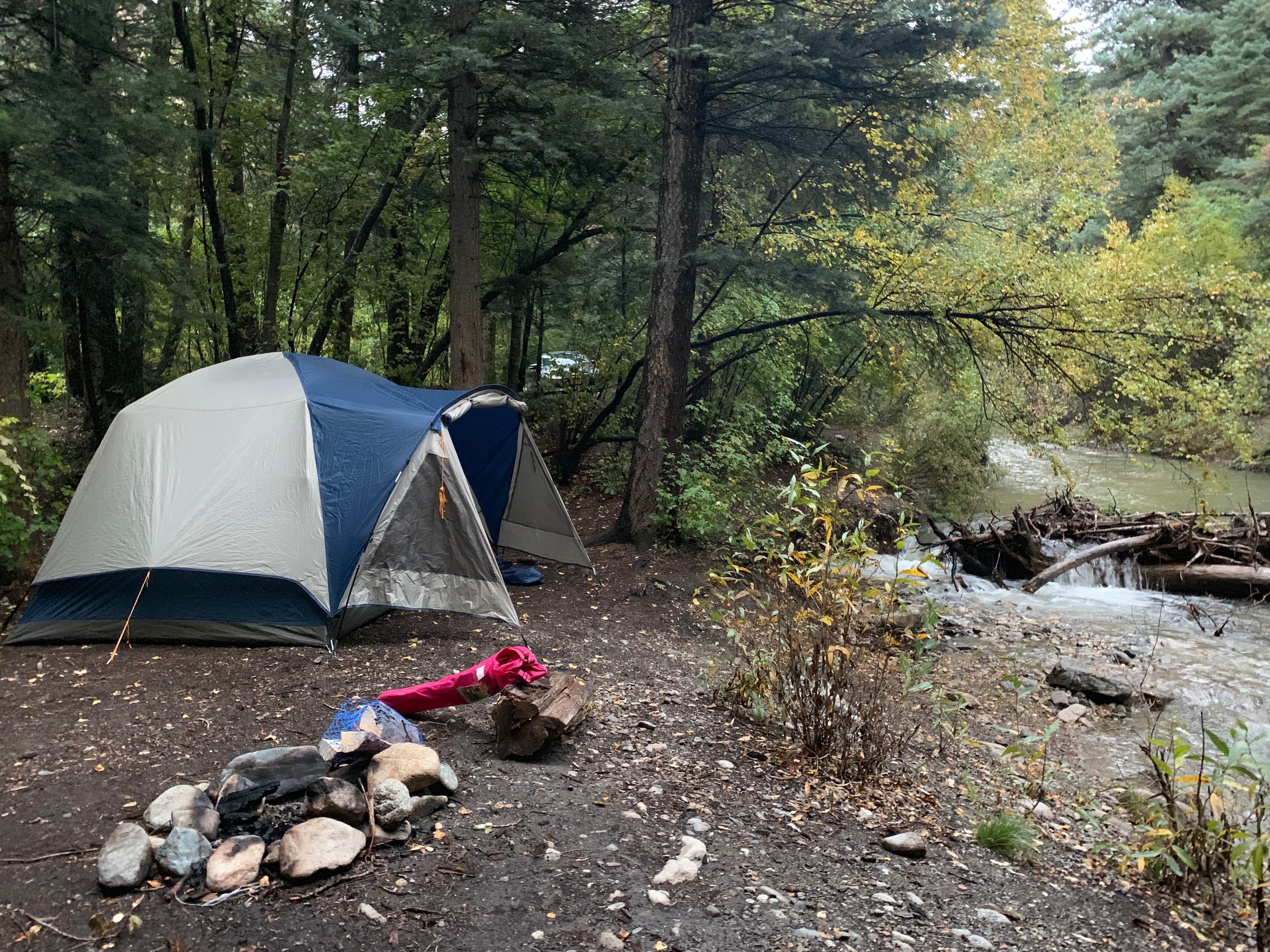 Shavit L.'s photo of tent camping at Arroyo Seco Dispersed NF Camping near Red River, NM