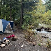 Review photo of Arroyo Seco Dispersed NF Camping by Shavit L., October 7, 2019