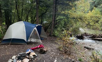 Shavit L.'s photo at Arroyo Seco Dispersed NF Camping near Arroyo Seco, NM