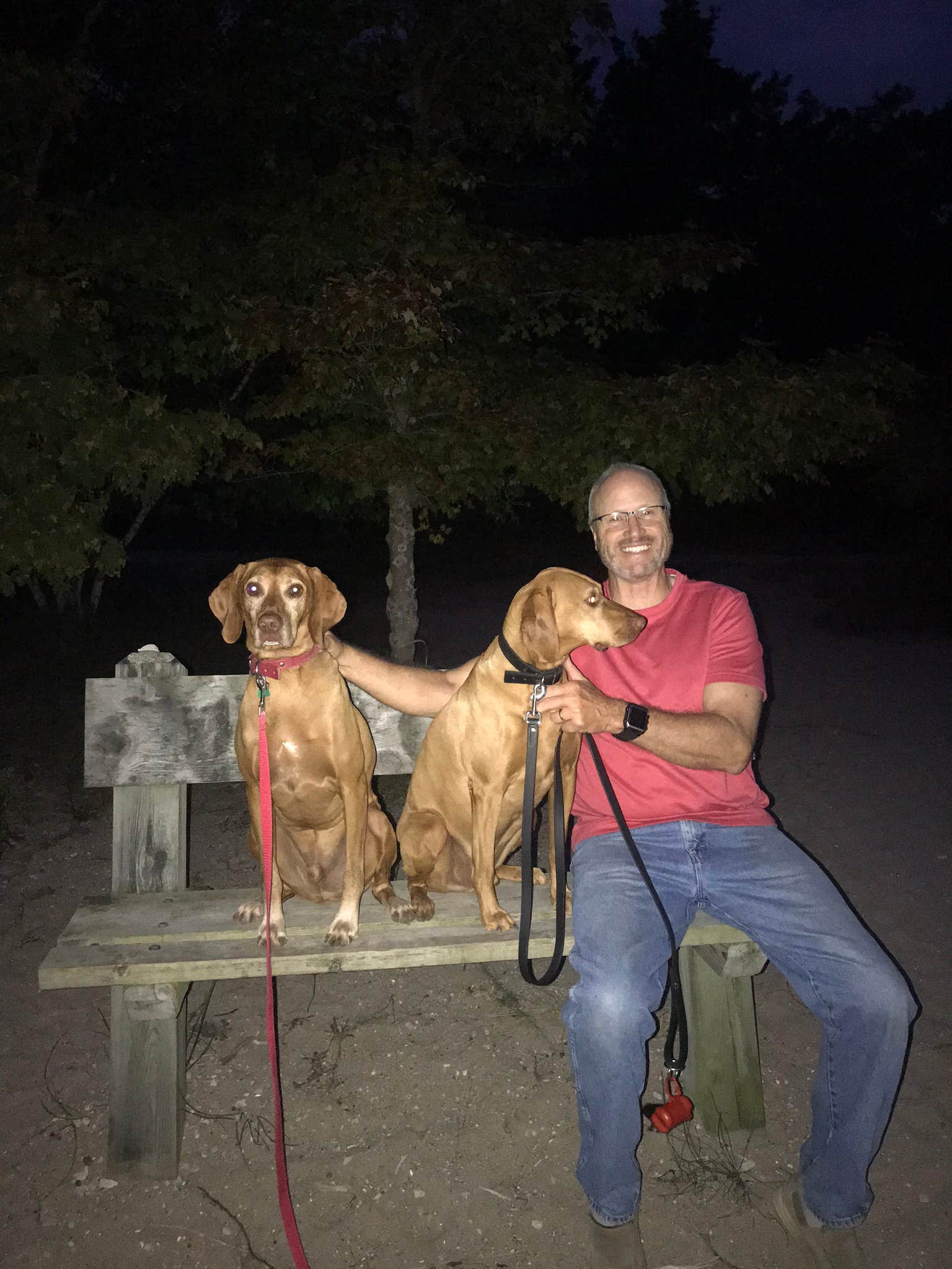 Mary K.'s photo of camping with pets at Leelanau State Park Campground near Sleeping Bear Dunes National Lakeshore