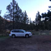 Review photo of Lone Pine Campground by Ashley B., October 7, 2019