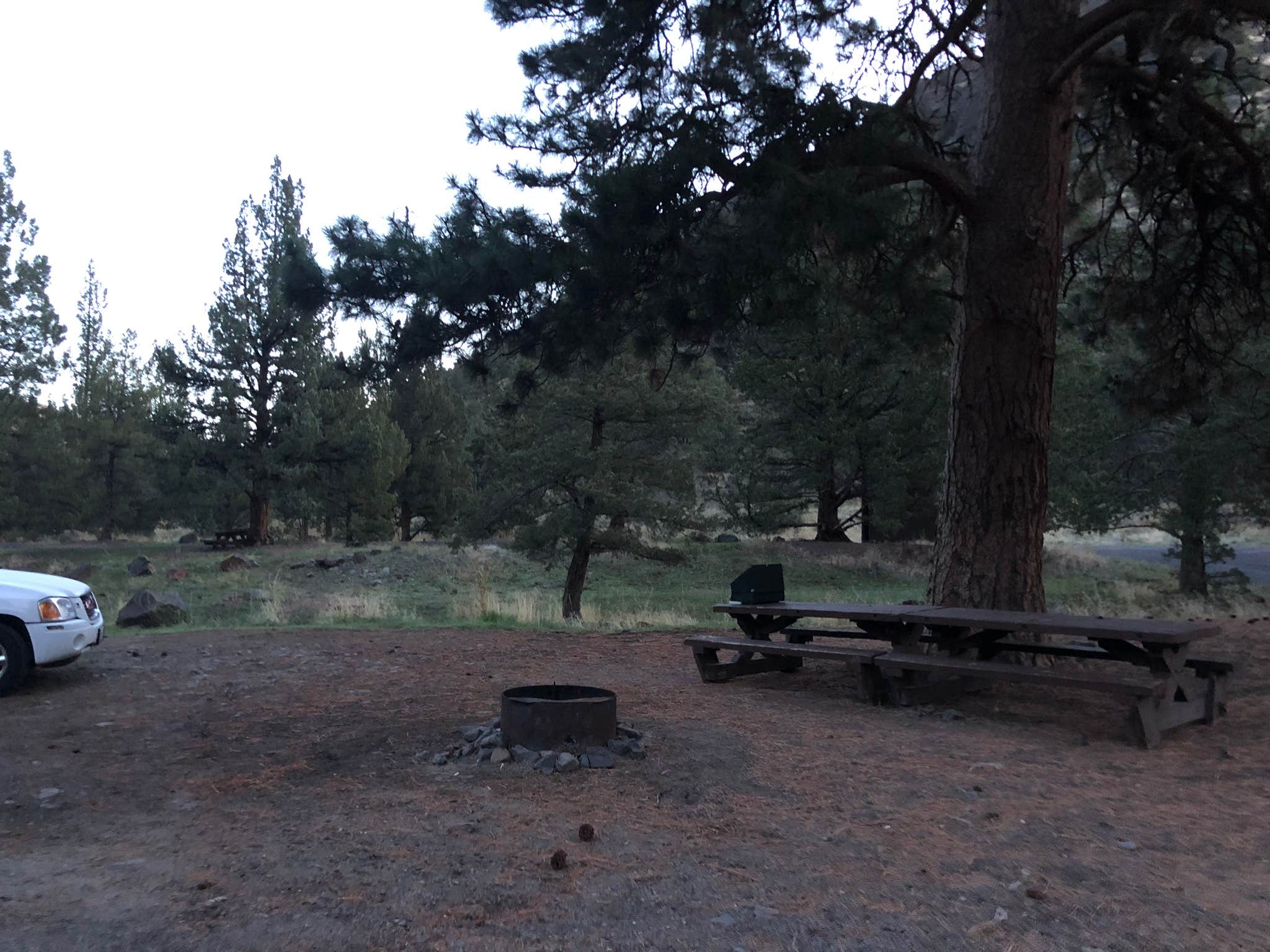 Camper submitted image from Lone Pine Campground - 5