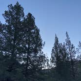 Review photo of Lone Pine Campground by Ashley B., October 7, 2019