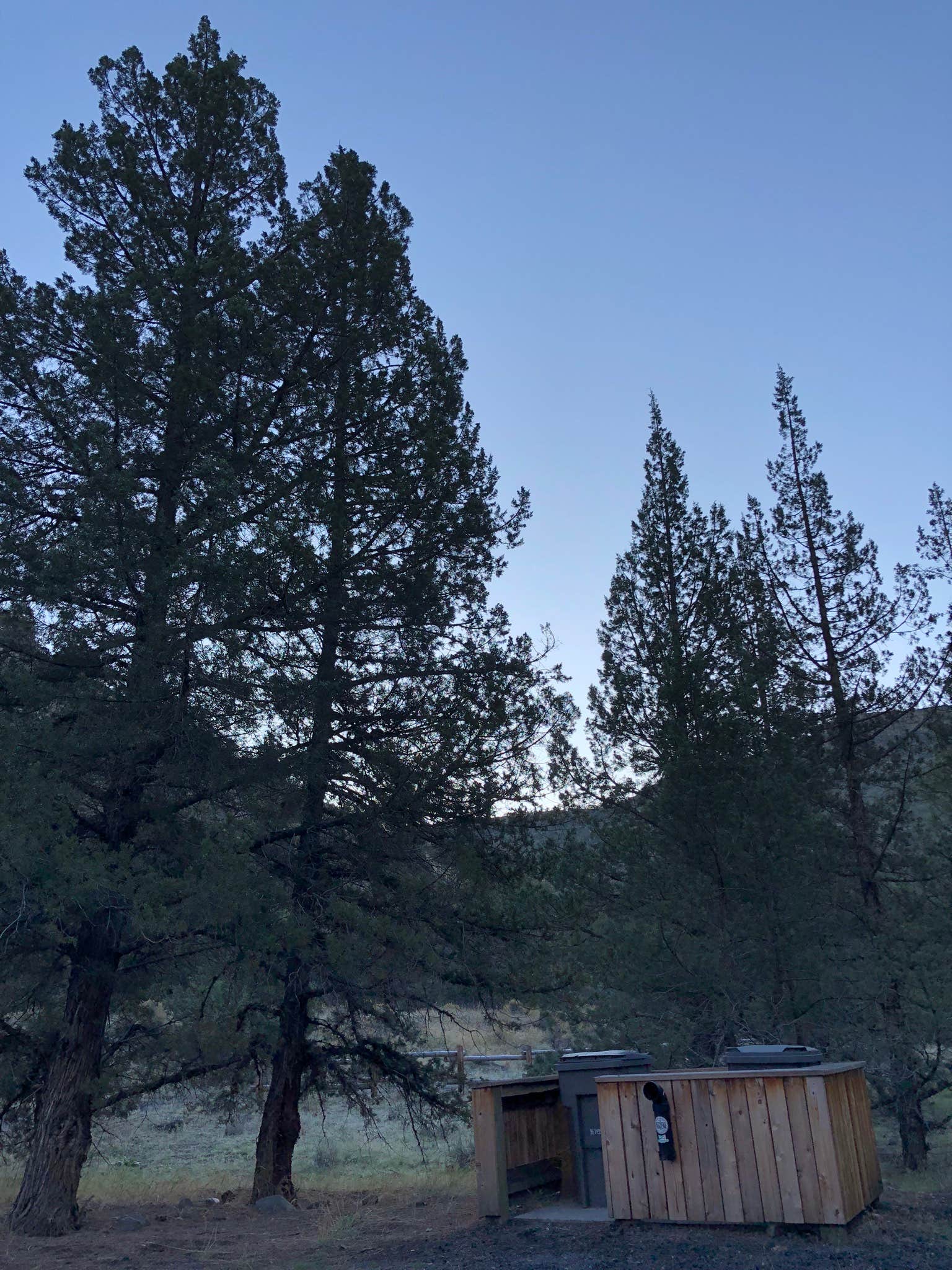 Camper submitted image from Lone Pine Campground - 4