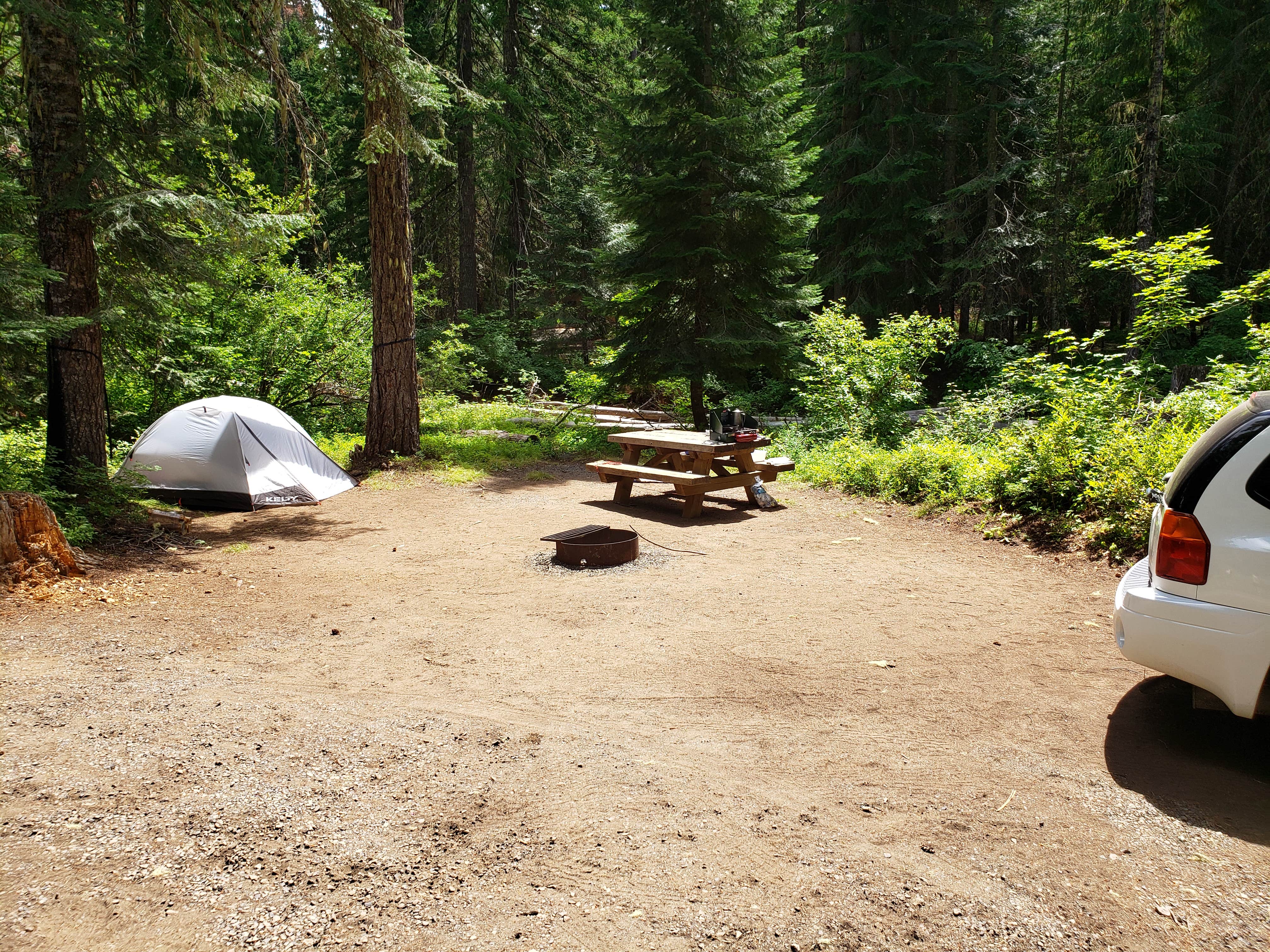 Ashley B.'s photo at Peterson Prairie Campground near Trout Lake, WA