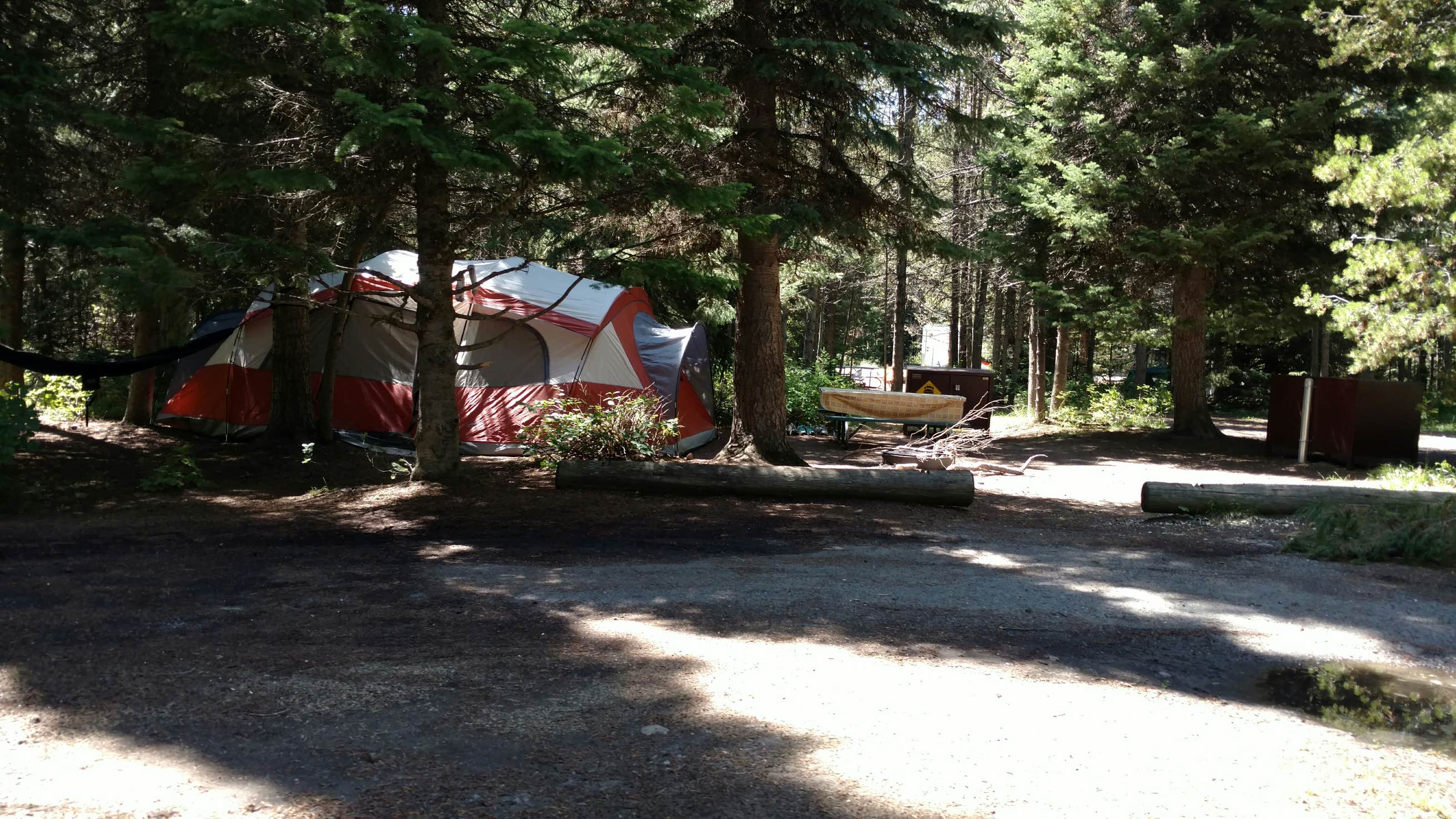 Colter Bay Campground The Dyrt