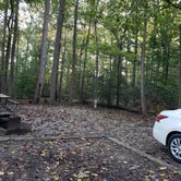 Review photo of Smallwood State Park Campground - TEMPORARILY CLOSED THROUGH JULY 2023 by LaShawn L., October 7, 2019
