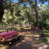 Review photo of Highlands Hammock State Park Campground by Natasha H., October 8, 2019