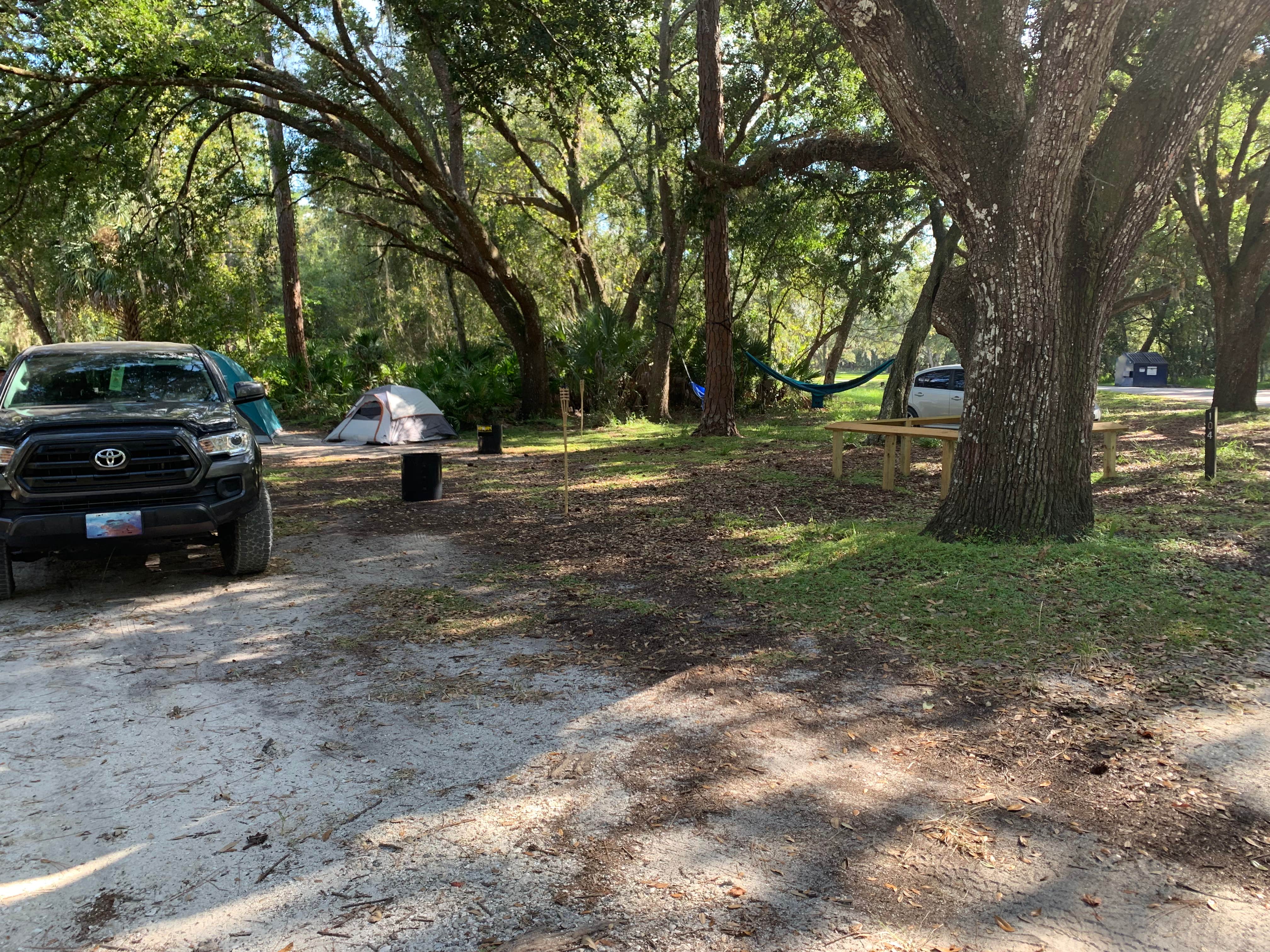 Natasha H.'s photo of tent camping at Highlands Hammock State Park Campground near Wimauma, FL