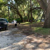 Review photo of Highlands Hammock State Park by Natasha H., October 8, 2019