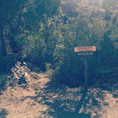 Review photo of Reyes Creek Campground by Morgan E., October 8, 2019