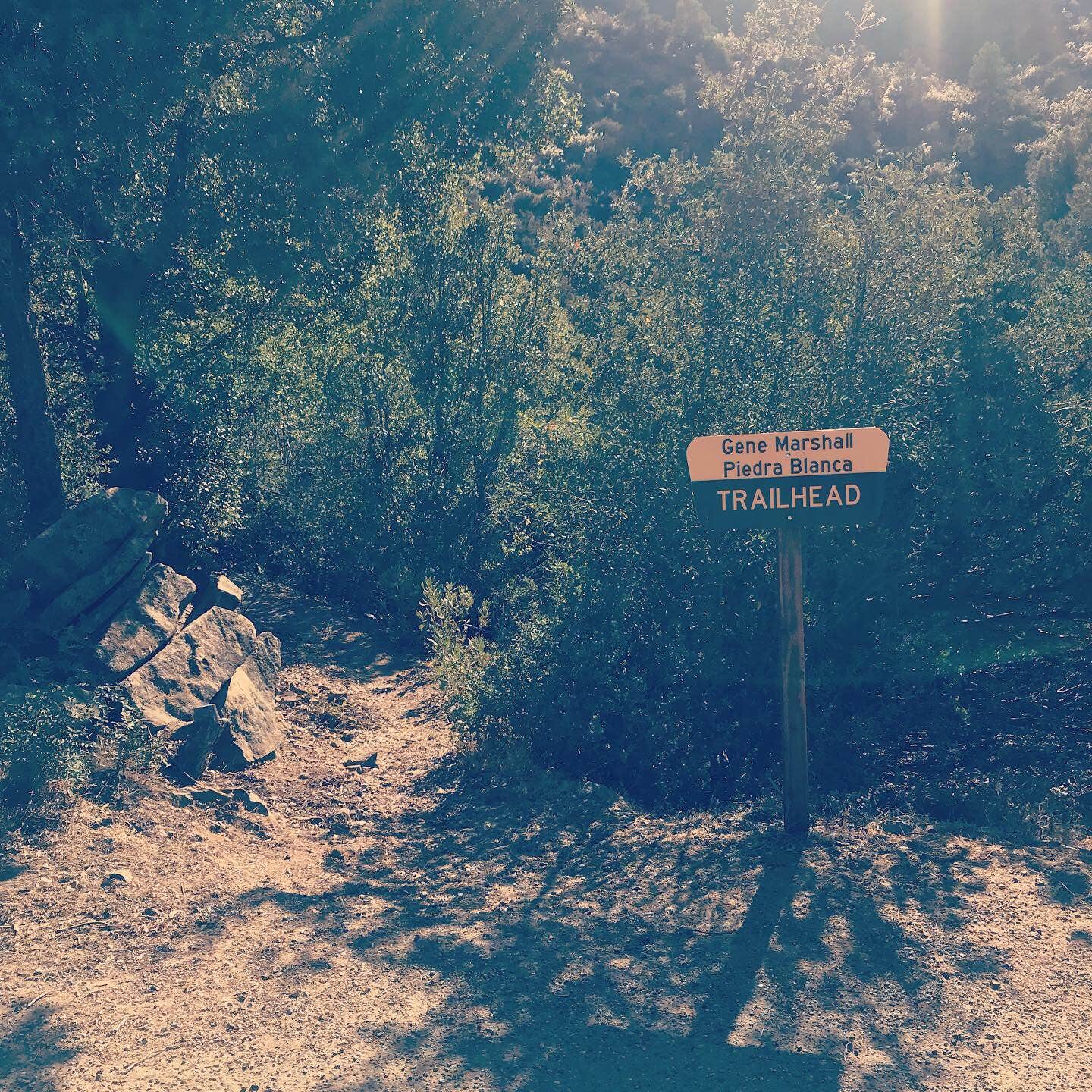 Camper submitted image from Reyes Creek Campground - 5